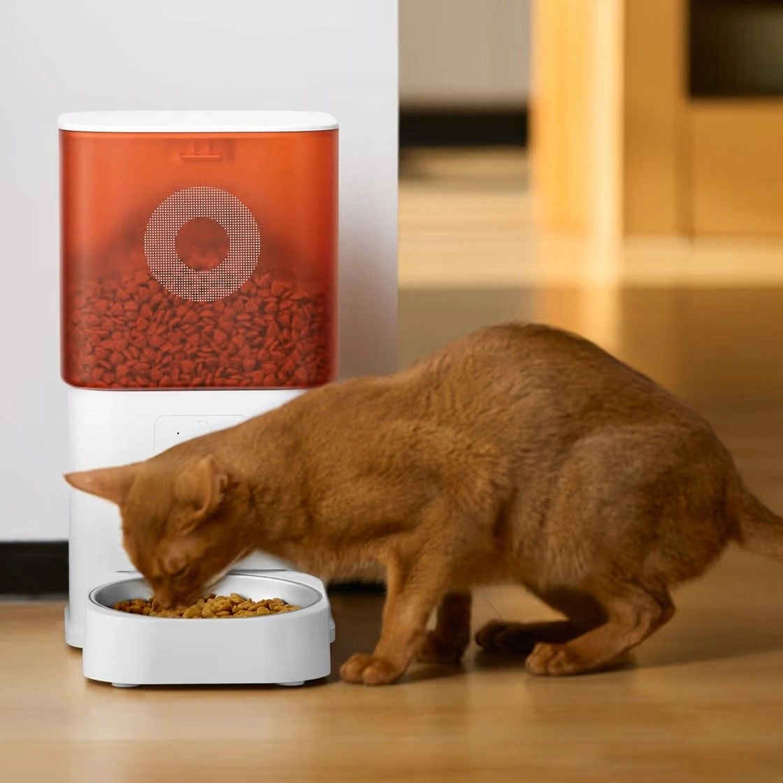 Умная кормушка для животных Molly&Cody Smart Feeder 6L Camera, Чёрный (FT-21C-B). Фото 2