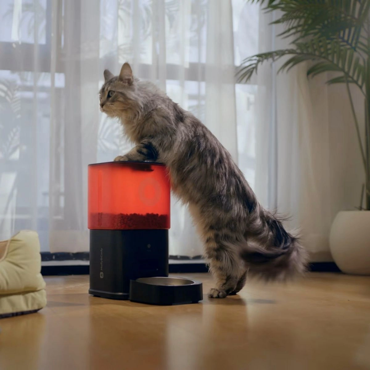 Умная кормушка для животных Molly&Cody Smart Feeder 6L Camera, Чёрный (FT-21C-B). Фото 4