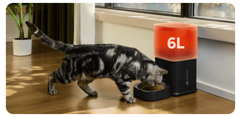 Molly-Cody-Smart-Feeder-6L-Camera-08